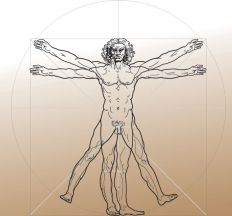 1384 Vitruvian Man